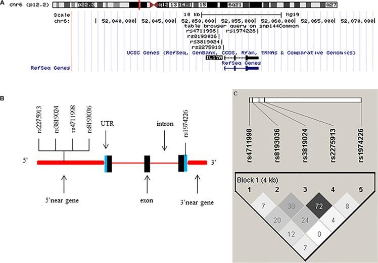 https://cdn.ncbi.nlm.nih.gov/pmc/blobs/0dc7/5347698/71aee6ac5a6a/oncotarget-07-82384-g002.jpg