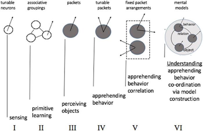 https://cdn.ncbi.nlm.nih.gov/pmc/blobs/0dc7/8733725/1887adf56670/fnsys-15-786252-g014.jpg