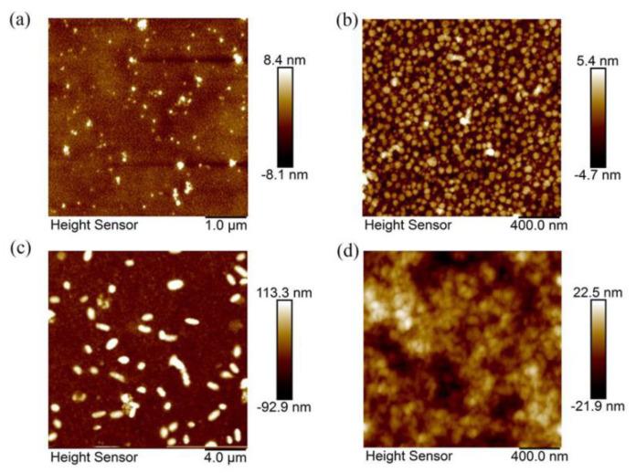 https://cdn.ncbi.nlm.nih.gov/pmc/blobs/0dce/7466531/b94b046503c7/nanomaterials-10-01561-g002.jpg