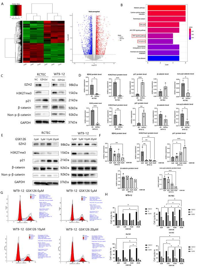 https://cdn.ncbi.nlm.nih.gov/pmc/blobs/0dd0/11520870/11ec7a439ca3/12967_2024_5785_Fig10_HTML.jpg