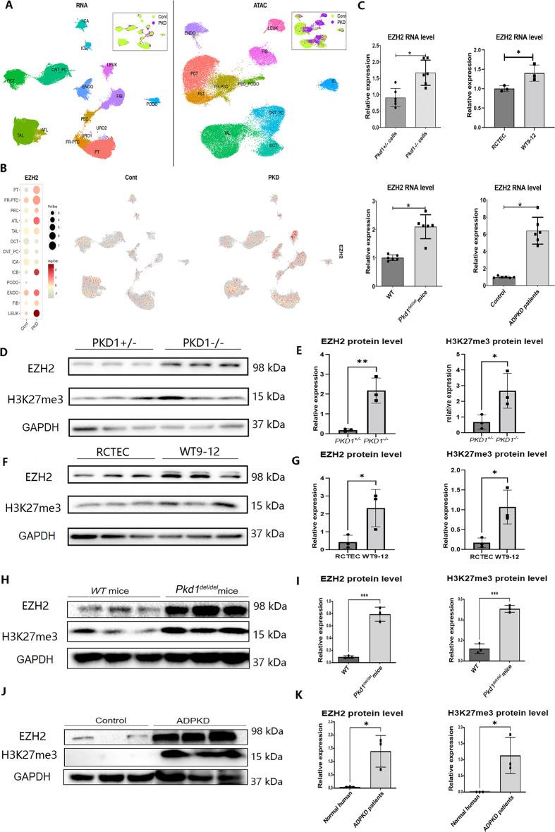 https://cdn.ncbi.nlm.nih.gov/pmc/blobs/0dd0/11520870/44318fbc53a0/12967_2024_5785_Fig1_HTML.jpg