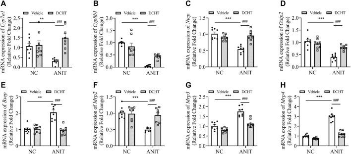 https://cdn.ncbi.nlm.nih.gov/pmc/blobs/0dd0/8965327/7412100b85d9/fphar-13-847483-g002.jpg