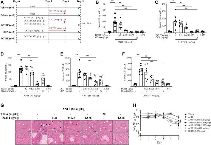 https://cdn.ncbi.nlm.nih.gov/pmc/blobs/0dd0/8965327/b0059760cba3/fphar-13-847483-g001.jpg
