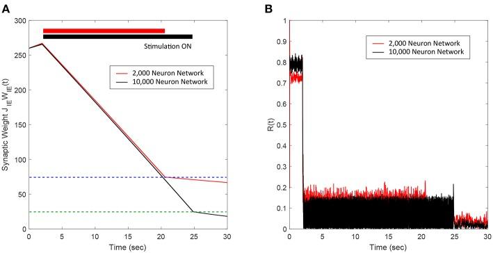 https://cdn.ncbi.nlm.nih.gov/pmc/blobs/0dd2/6737503/c9ff86a4678a/fncom-13-00061-g0005.jpg
