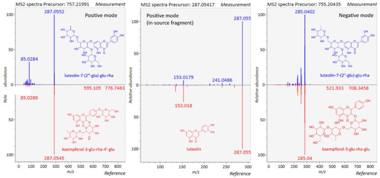 https://cdn.ncbi.nlm.nih.gov/pmc/blobs/0dd2/8963255/6fbc0ee4852e/cells-11-01025-g002.jpg