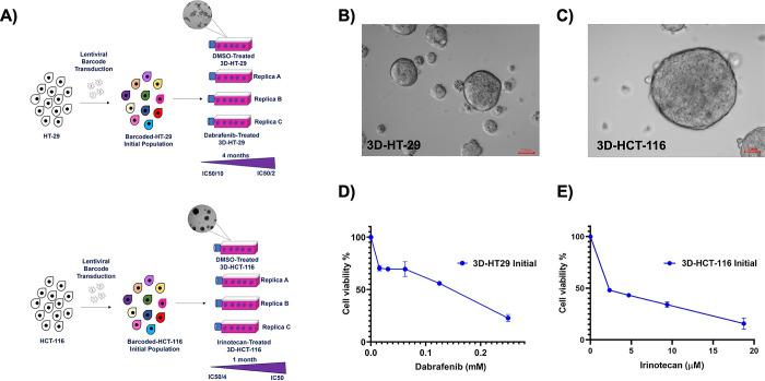 https://cdn.ncbi.nlm.nih.gov/pmc/blobs/0dd6/10521976/ff7cb4297a79/pone.0291942.g001.jpg