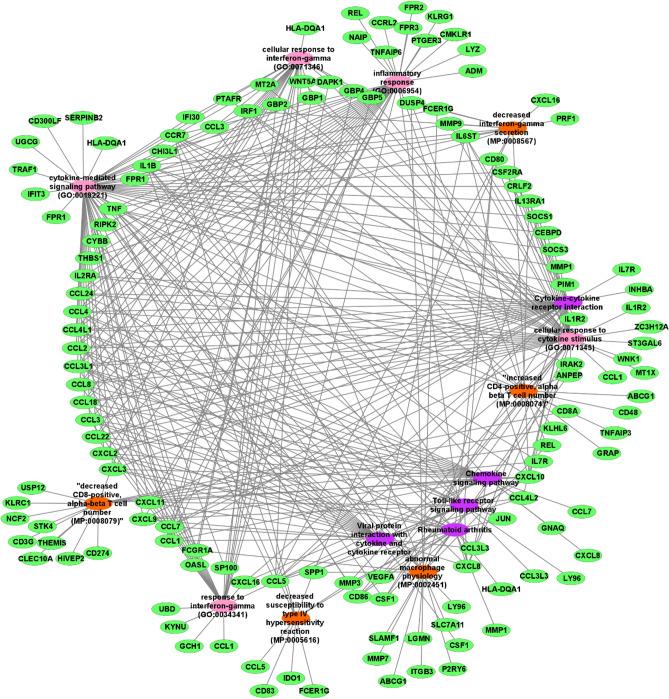https://cdn.ncbi.nlm.nih.gov/pmc/blobs/0dd6/11153516/01d7600c9c4a/41598_2024_63462_Fig3_HTML.jpg
