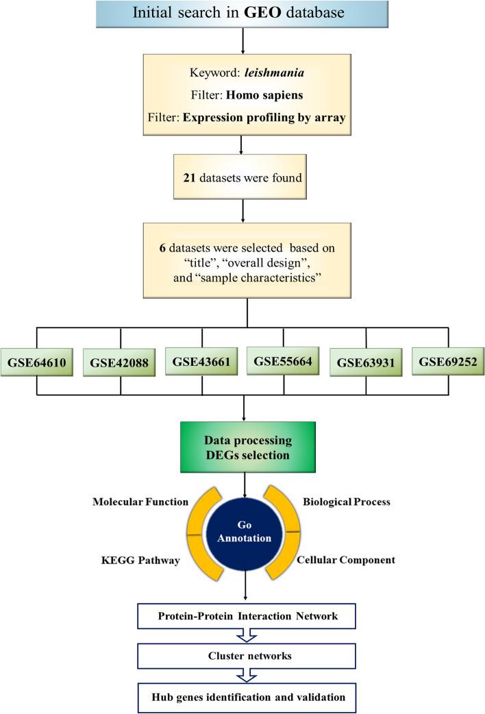 https://cdn.ncbi.nlm.nih.gov/pmc/blobs/0dd6/11153516/07cdf367394a/41598_2024_63462_Fig1_HTML.jpg
