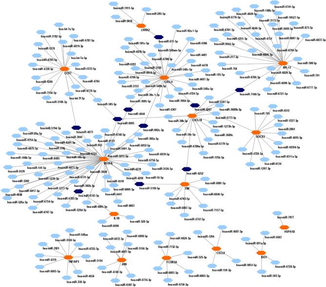 https://cdn.ncbi.nlm.nih.gov/pmc/blobs/0dd6/11153516/59220c03a828/41598_2024_63462_Fig6_HTML.jpg