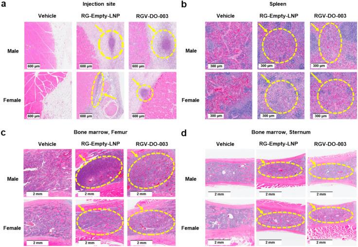 https://cdn.ncbi.nlm.nih.gov/pmc/blobs/0dd7/12217173/ced85c6e32c5/41598_2025_7661_Fig5_HTML.jpg
