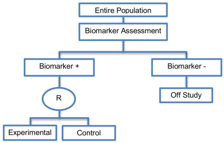 https://cdn.ncbi.nlm.nih.gov/pmc/blobs/0dd7/5374391/ae6875d64629/jpm-07-00001-g003.jpg