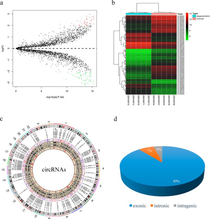https://cdn.ncbi.nlm.nih.gov/pmc/blobs/0dd7/5833826/3985c3c09677/41419_2017_232_Fig1_HTML.jpg