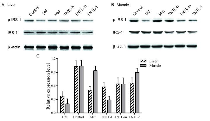 https://cdn.ncbi.nlm.nih.gov/pmc/blobs/0dda/5482152/65fab768cb3c/MMR-16-01-0703-g06.jpg