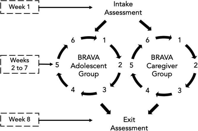 https://cdn.ncbi.nlm.nih.gov/pmc/blobs/0ddc/10927228/6197c4c2f820/tmr.2023.0056_figure1.jpg