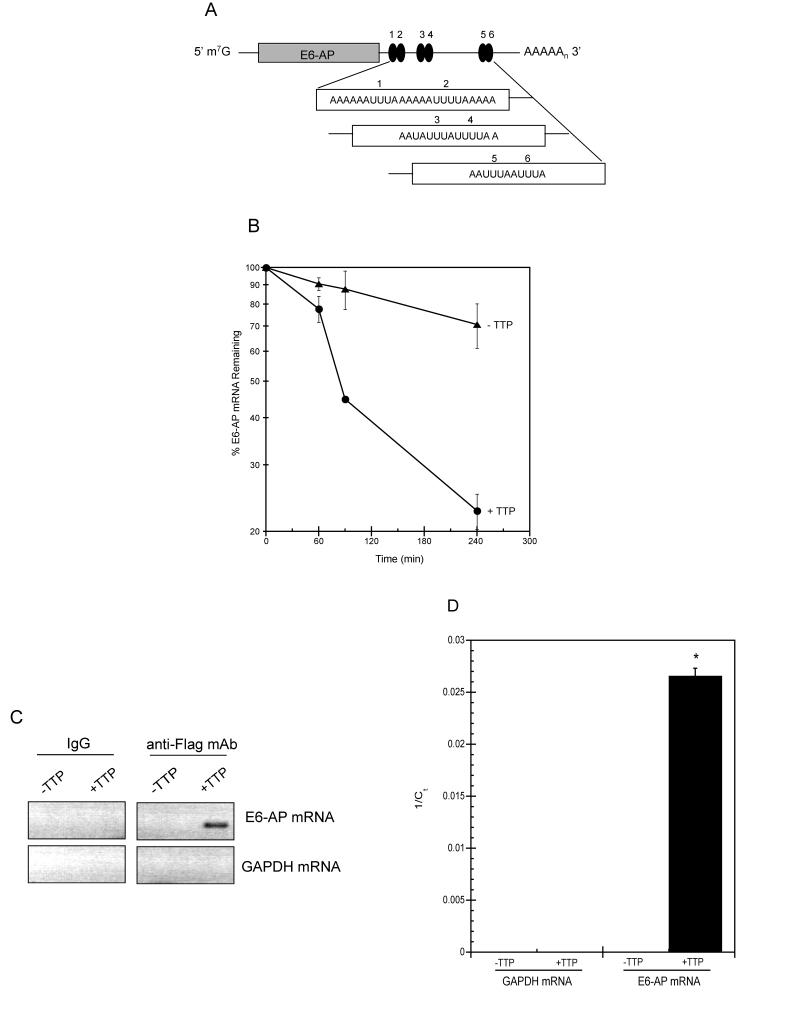 https://cdn.ncbi.nlm.nih.gov/pmc/blobs/0ddc/2815738/68e3c5dd88b4/aging-01-803-g006.jpg