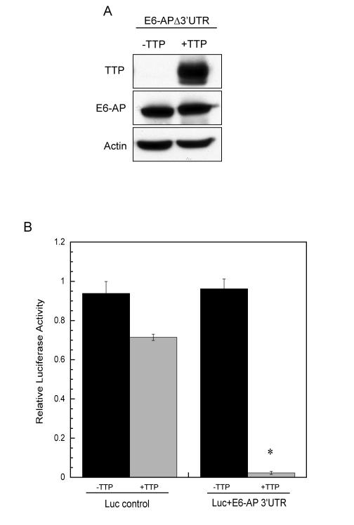 https://cdn.ncbi.nlm.nih.gov/pmc/blobs/0ddc/2815738/f9bfab33a6f4/aging-01-803-g007.jpg