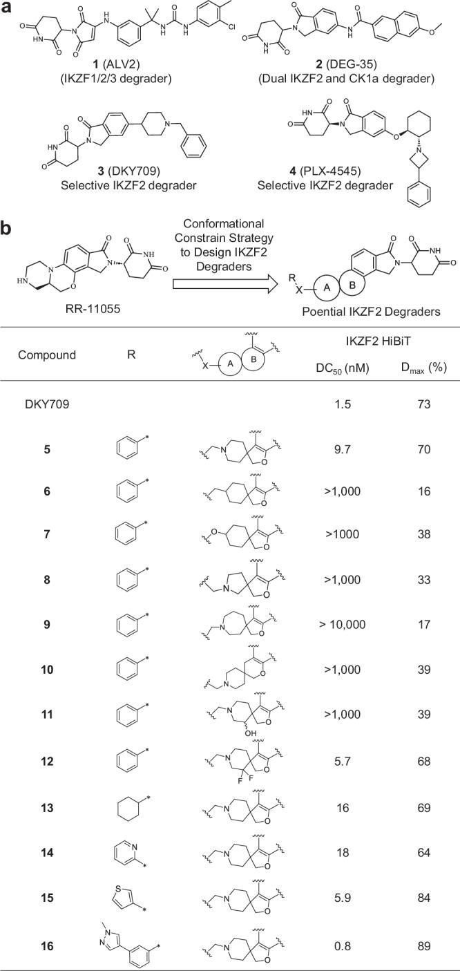https://cdn.ncbi.nlm.nih.gov/pmc/blobs/0ddf/12046021/4910cd90e3e5/41467_2025_58431_Fig1_HTML.jpg