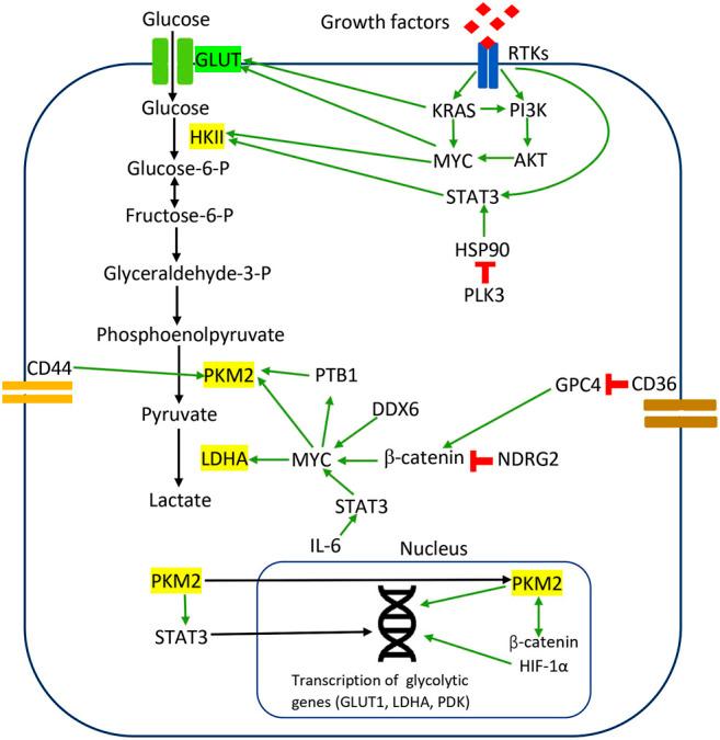 https://cdn.ncbi.nlm.nih.gov/pmc/blobs/0ddf/8650587/066ffe35875b/fphar-12-768861-g001.jpg