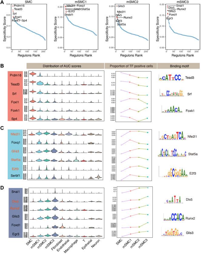 https://cdn.ncbi.nlm.nih.gov/pmc/blobs/0de1/9168464/29f81a3b0888/fgene-13-900358-g002.jpg