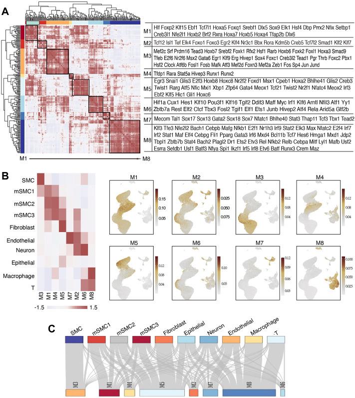 https://cdn.ncbi.nlm.nih.gov/pmc/blobs/0de1/9168464/3e075abe6ef7/fgene-13-900358-g003.jpg