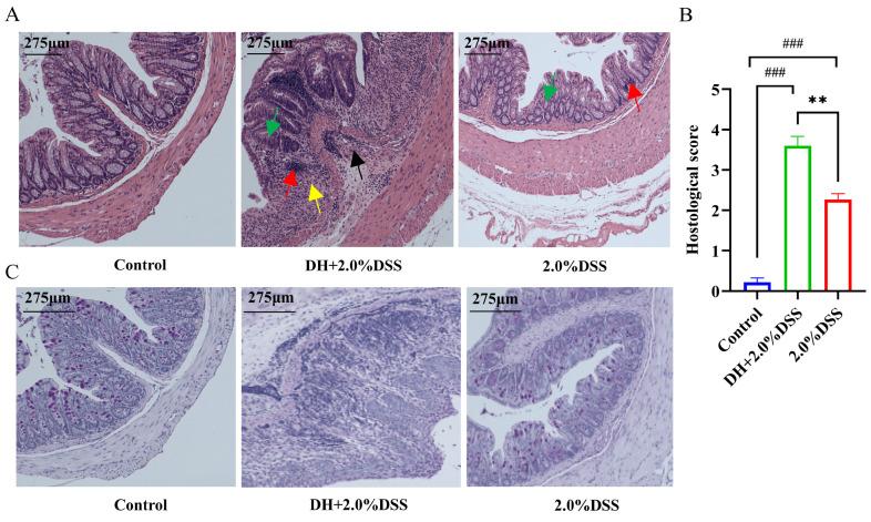 https://cdn.ncbi.nlm.nih.gov/pmc/blobs/0de2/12293846/4905e92e0867/cimb-47-00562-g003.jpg