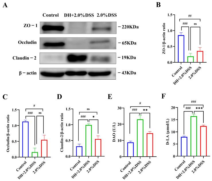 https://cdn.ncbi.nlm.nih.gov/pmc/blobs/0de2/12293846/d18ea1d4a657/cimb-47-00562-g006.jpg