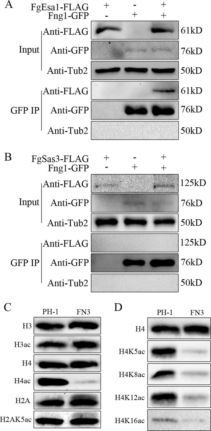 https://cdn.ncbi.nlm.nih.gov/pmc/blobs/0de3/7660929/16a48db369c3/pgen.1009185.g001.jpg