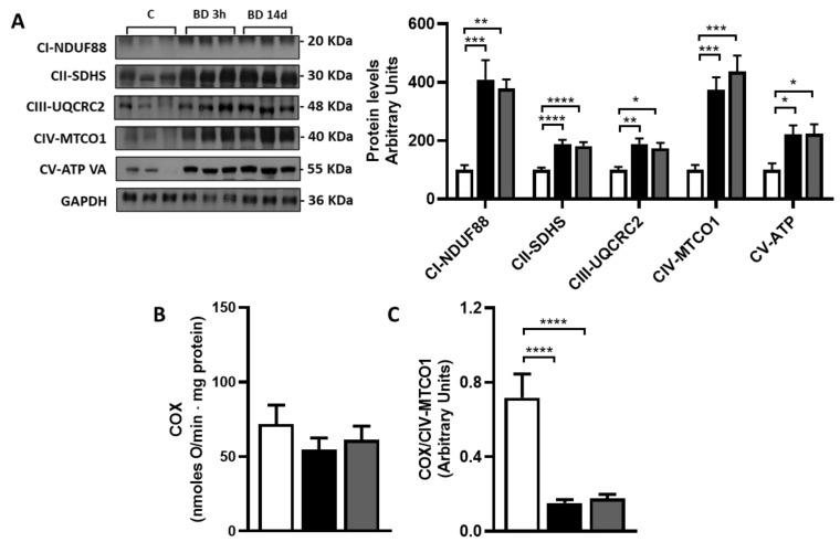 https://cdn.ncbi.nlm.nih.gov/pmc/blobs/0de4/10376816/2c29ee5f4842/antioxidants-12-01471-g005.jpg