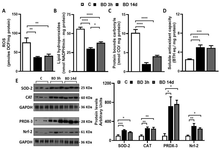 https://cdn.ncbi.nlm.nih.gov/pmc/blobs/0de4/10376816/71ac8ffccbe9/antioxidants-12-01471-g003.jpg