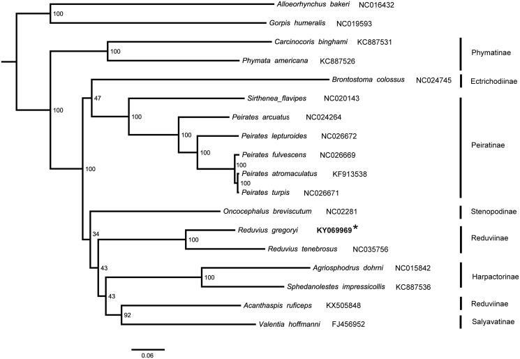 https://cdn.ncbi.nlm.nih.gov/pmc/blobs/0de4/7707017/626af0a6600a/TMDN_A_1666690_F0001_B.jpg
