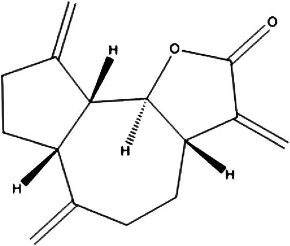 https://cdn.ncbi.nlm.nih.gov/pmc/blobs/0de5/7883827/7c9cd0bee47e/fphar-11-608672-g008.jpg