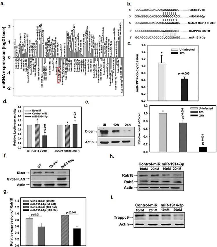 https://cdn.ncbi.nlm.nih.gov/pmc/blobs/0de6/10898768/ce032e5ee1ad/ppat.1012024.g003.jpg