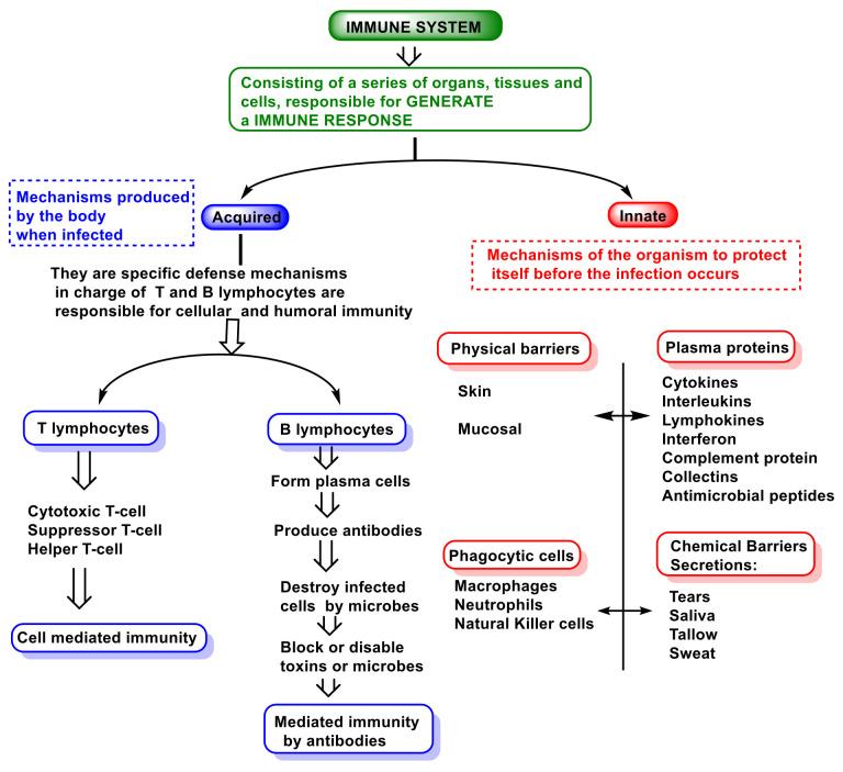 https://cdn.ncbi.nlm.nih.gov/pmc/blobs/0de6/9609844/75f24f7da7e7/vaccines-10-01735-g002.jpg