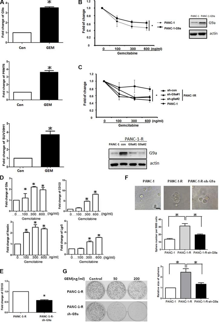 https://cdn.ncbi.nlm.nih.gov/pmc/blobs/0de7/5308641/83542762acd8/oncotarget-07-61136-g001.jpg