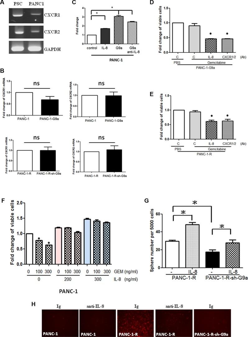 https://cdn.ncbi.nlm.nih.gov/pmc/blobs/0de7/5308641/e1f9b252a5b2/oncotarget-07-61136-g003.jpg