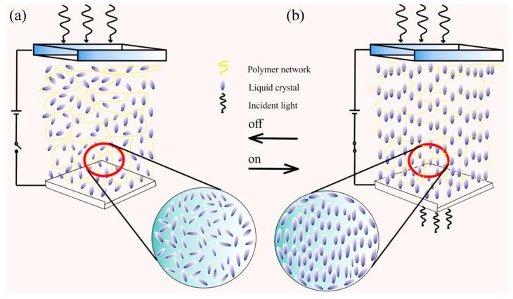 https://cdn.ncbi.nlm.nih.gov/pmc/blobs/0de8/7727789/05709458e4c7/molecules-25-05510-g001.jpg