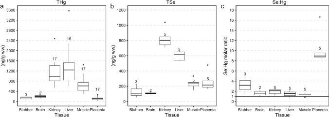 https://cdn.ncbi.nlm.nih.gov/pmc/blobs/0deb/11467087/01b8525b8669/11356_2024_34980_Fig4_HTML.jpg