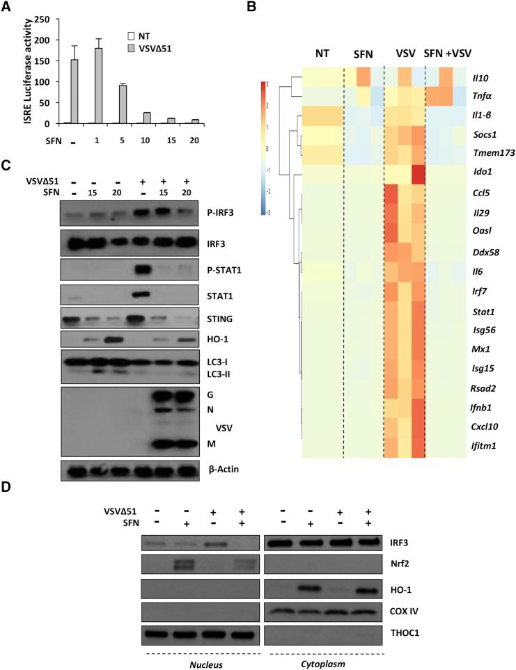 https://cdn.ncbi.nlm.nih.gov/pmc/blobs/0ded/5542709/733d04fe8421/gr5.jpg