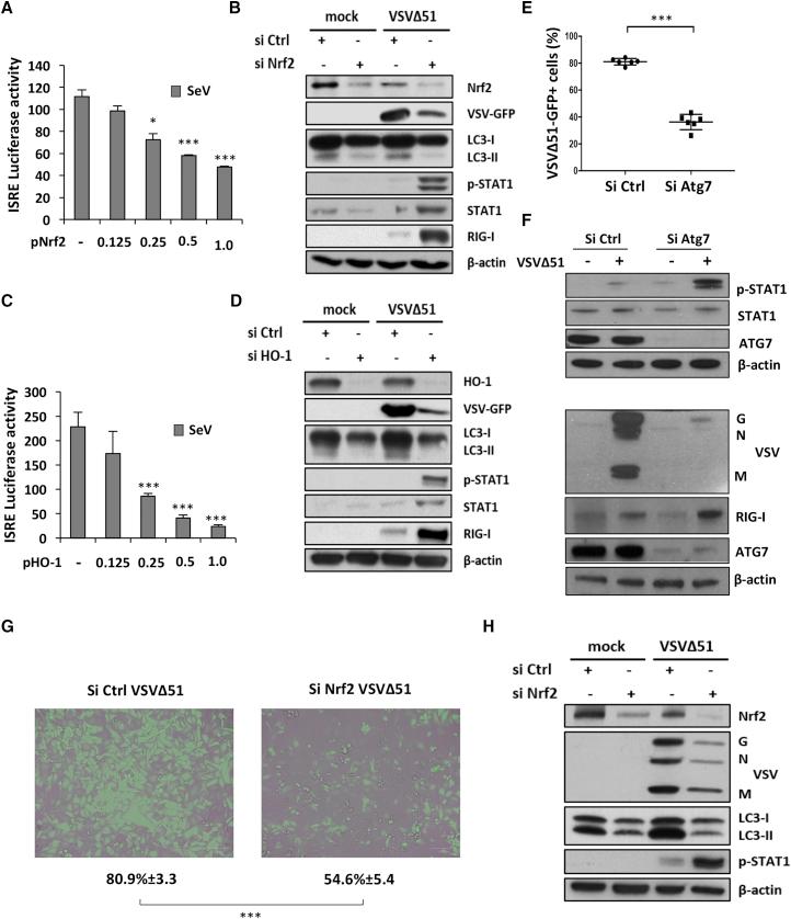 https://cdn.ncbi.nlm.nih.gov/pmc/blobs/0ded/5542709/7ab0cfeeb4e7/gr6.jpg