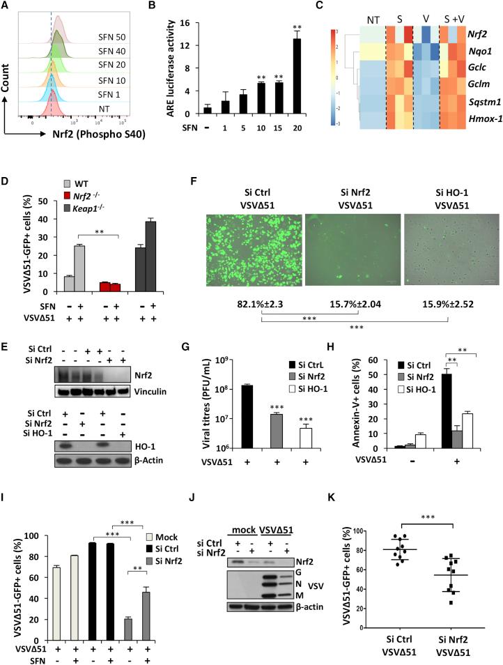 https://cdn.ncbi.nlm.nih.gov/pmc/blobs/0ded/5542709/c12057935532/gr3.jpg