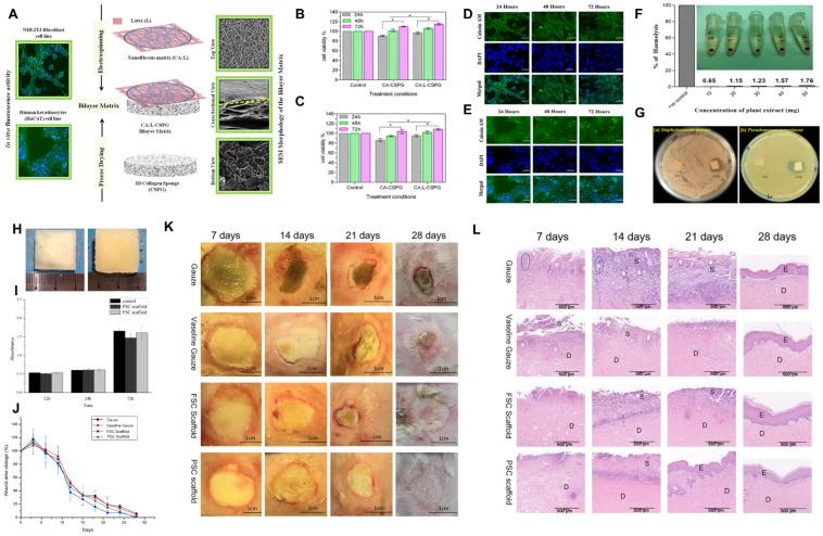 https://cdn.ncbi.nlm.nih.gov/pmc/blobs/0dee/10744877/56431c3b328b/marinedrugs-21-00611-g004.jpg