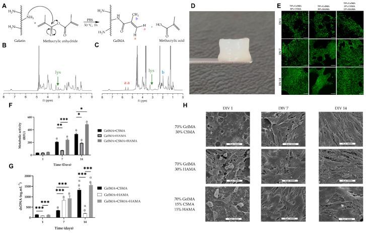 https://cdn.ncbi.nlm.nih.gov/pmc/blobs/0dee/10744877/a54684457dd8/marinedrugs-21-00611-g005.jpg