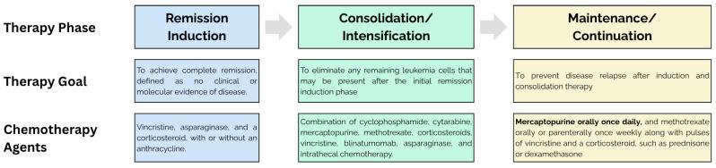 https://cdn.ncbi.nlm.nih.gov/pmc/blobs/0dee/12371948/4257224eed17/medsci-13-00112-g001.jpg