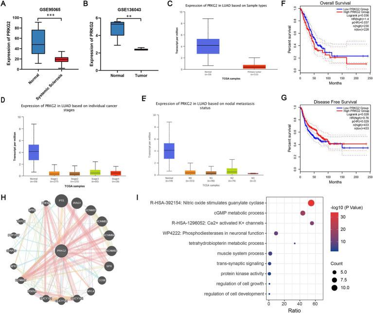 https://cdn.ncbi.nlm.nih.gov/pmc/blobs/0def/11688373/e1c6e222ec82/fmed-11-1431642-g003.jpg