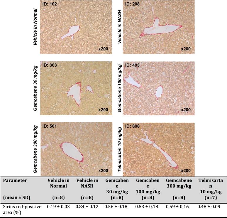 https://cdn.ncbi.nlm.nih.gov/pmc/blobs/0def/5976190/089438abf2d0/pone.0194568.g003.jpg