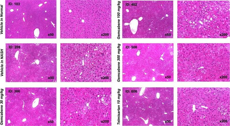 https://cdn.ncbi.nlm.nih.gov/pmc/blobs/0def/5976190/b110bfda5335/pone.0194568.g002.jpg