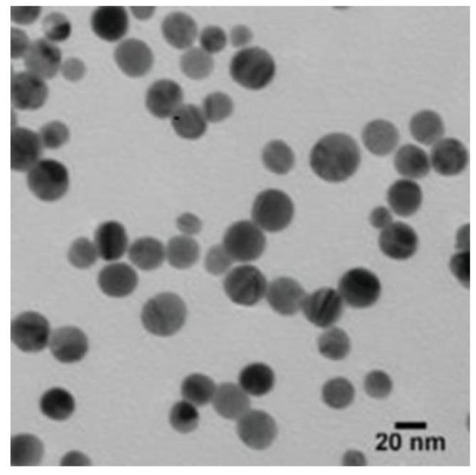 https://cdn.ncbi.nlm.nih.gov/pmc/blobs/0df2/8230666/95fd9e23ffab/jof-07-00473-g002.jpg
