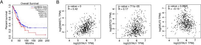 https://cdn.ncbi.nlm.nih.gov/pmc/blobs/0df4/12084350/2eea67d4332b/41598_2025_1883_Fig5_HTML.jpg
