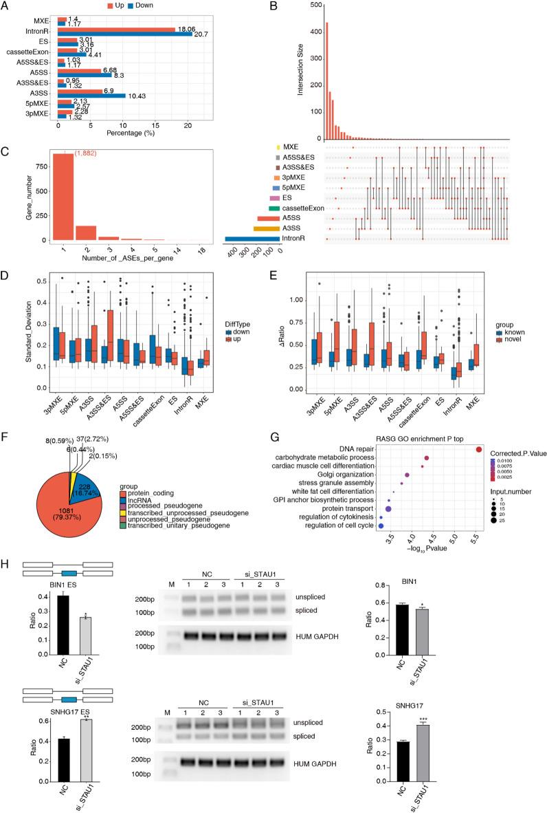 https://cdn.ncbi.nlm.nih.gov/pmc/blobs/0df4/12084350/3de9e04a9132/41598_2025_1883_Fig6_HTML.jpg