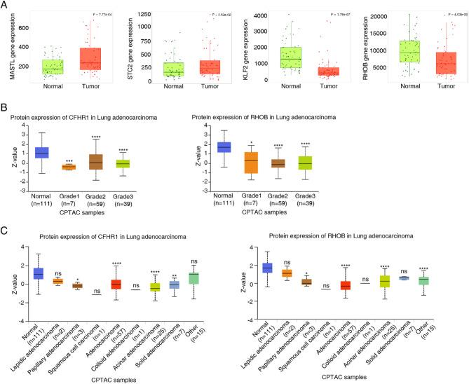 https://cdn.ncbi.nlm.nih.gov/pmc/blobs/0df4/12084350/6275a4641e8b/41598_2025_1883_Fig4_HTML.jpg